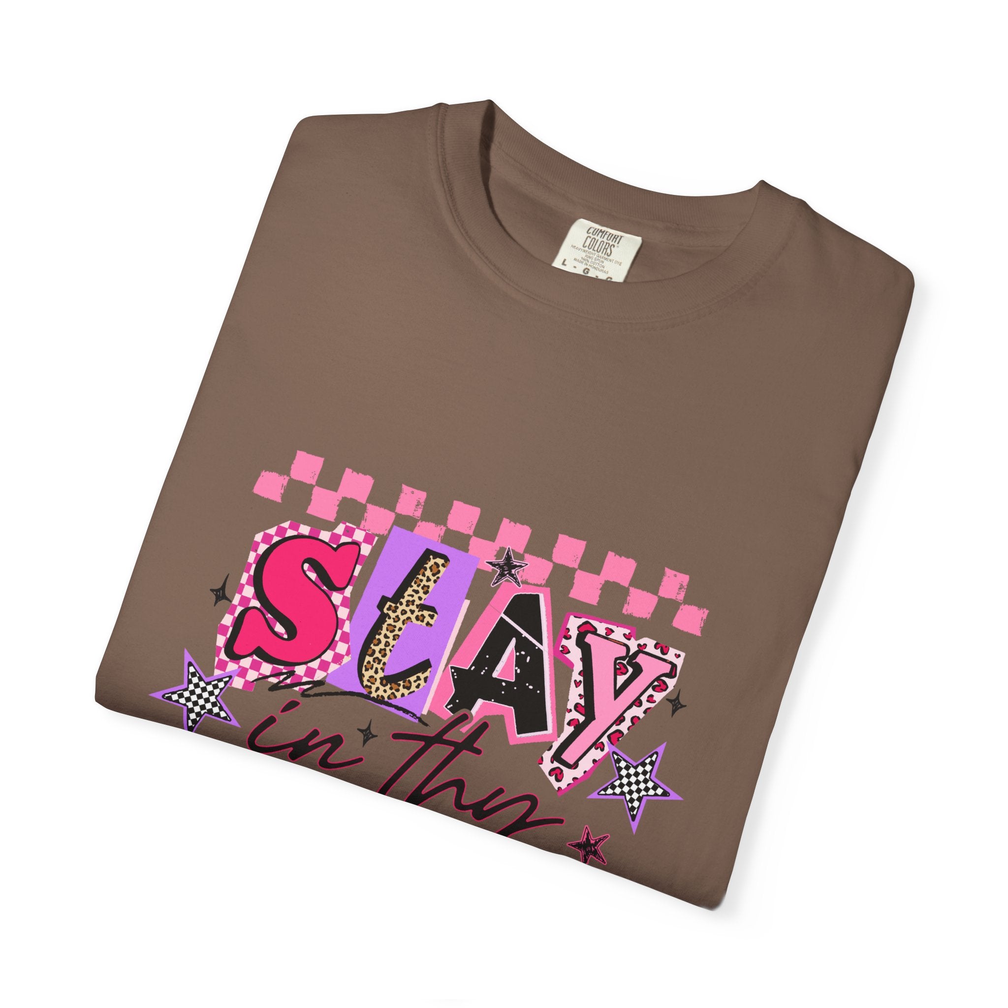 Slay in Thy Lane T-Shirt — Pink Check Graphic Tee (Pretty Proverbs 24:7)